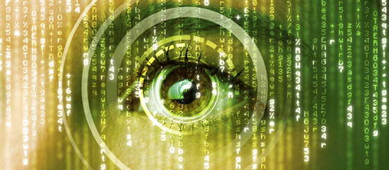 Data Security: Nexus Supplies